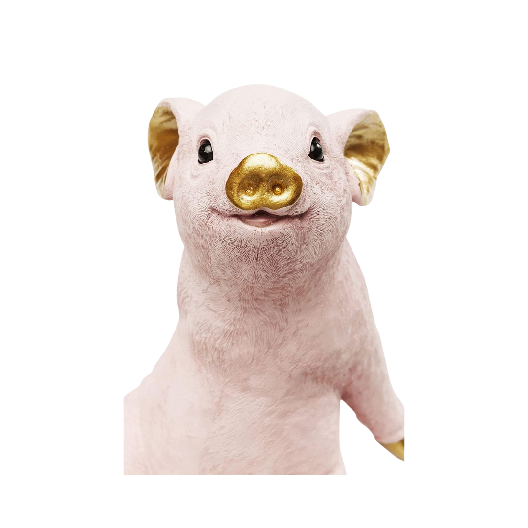 Tirelire "Cochon Rose Chillax"