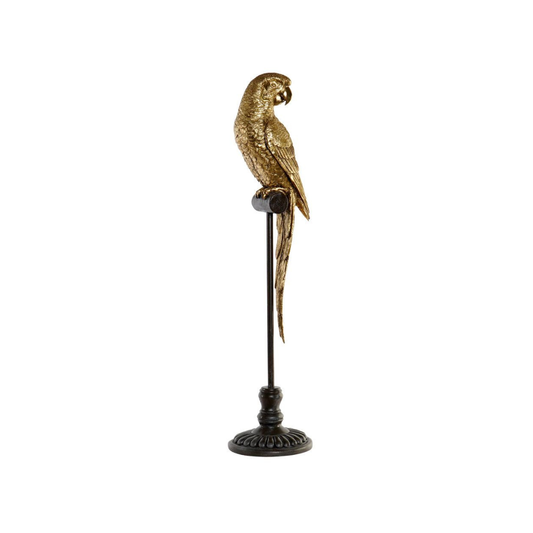Sculpture "Perroquet Doré"